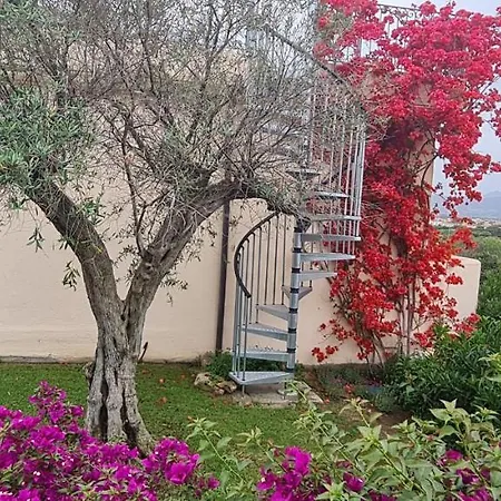 Deluxe Which Wonderful View *