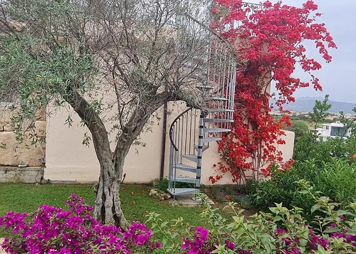 Deluxe Which Wonderful View *